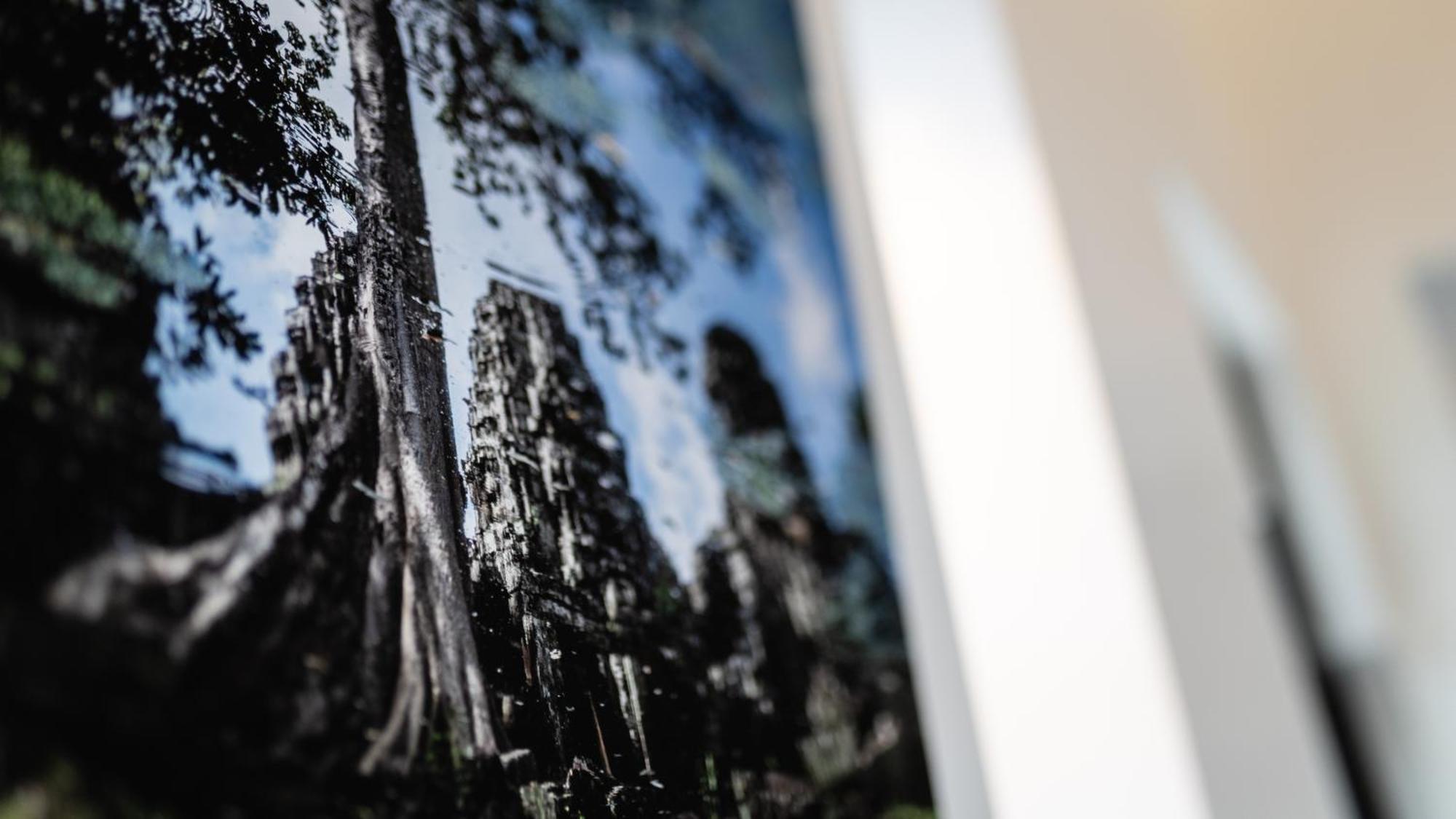 Reservoir, Yoga & Wellness Retreat เสียมราฐ ภายนอก รูปภาพ